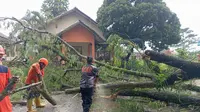 Angin Kencang Sapu Pemukiman di Sukabumi: Sejumlah Pohon Tumbang dan Belasan Atap Rumah Rusak