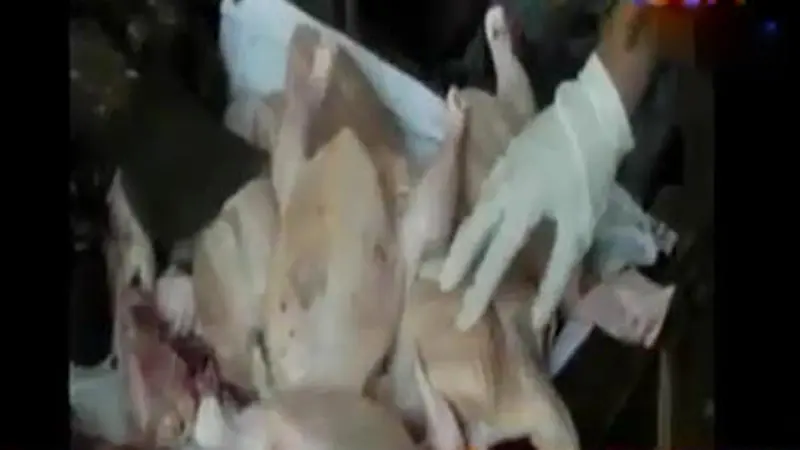 VIDEO: Petugas Temukan Daging Busuk Masih Dijual di Pasar