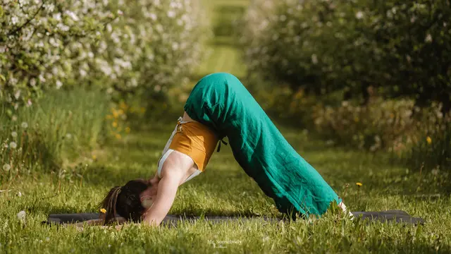 Gerakan Yoga Downward Dog untuk membantu peregangan tubuh setelah gym.