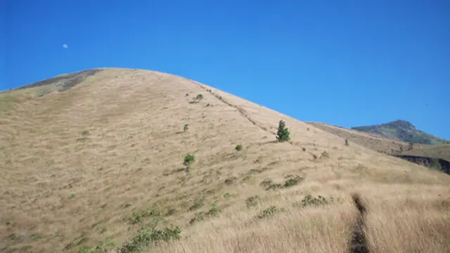 [Bintang] 8 Gunung di Indonesia Ini Punya Padang Savana yang Memesona