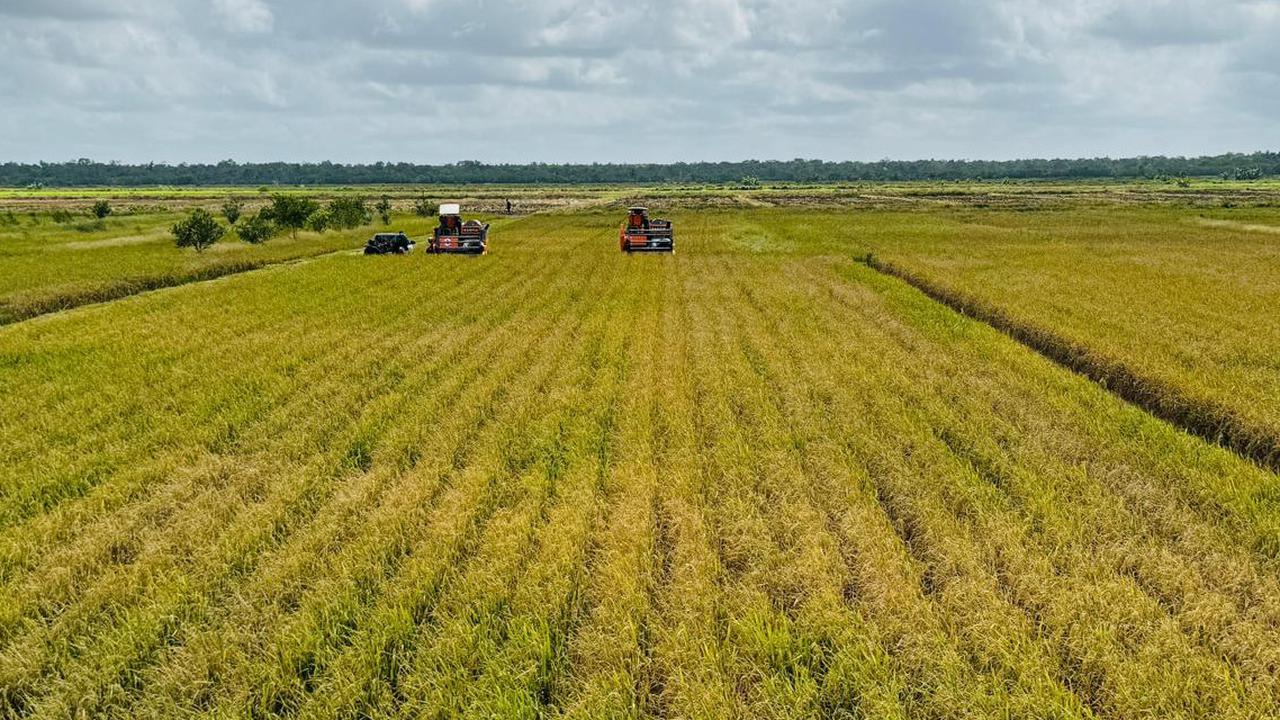Kejar Swasembada Pangan, Anggaran Rp15 Triliun Disiapkan untuk Cetak Sawah