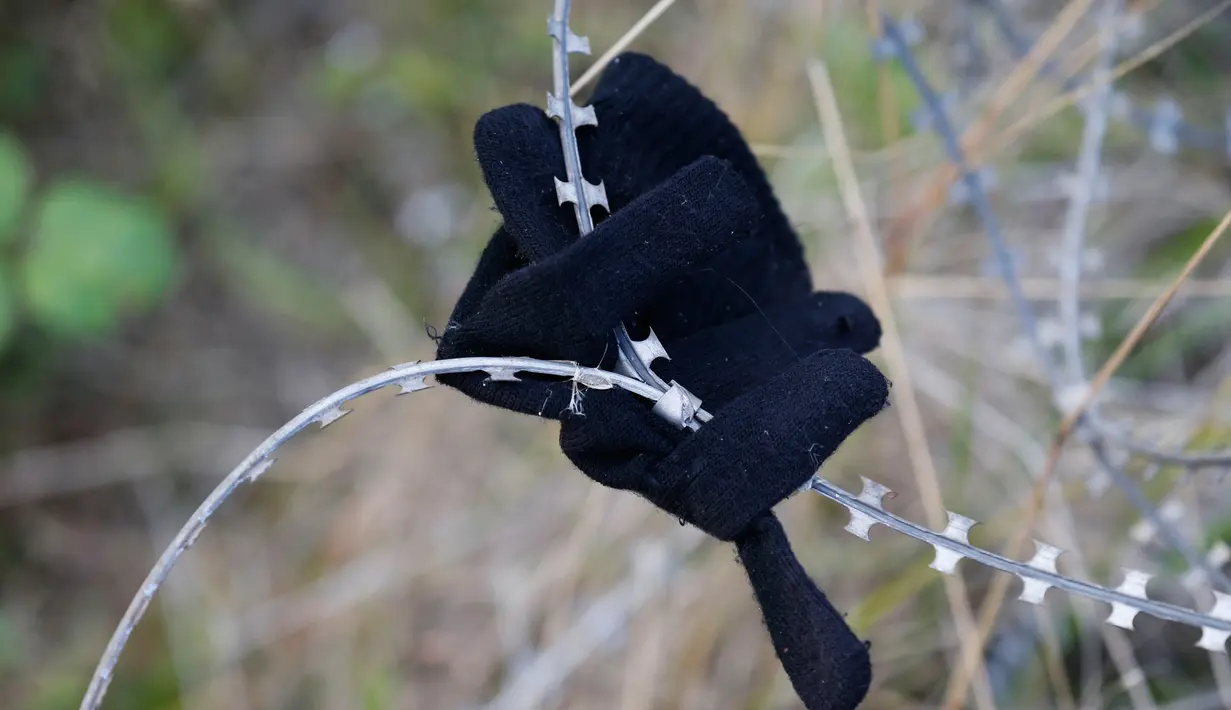 Sebuah sarung tangan imigran tersangkut di pagar berduri di Coquelles dekat Calais di Prancis, 29 Juli 2015. Ribuan imigran tersebut mencoba memasuki Terowongan Channel menuju Inggris melalui Prancis. (REUTERS/Pascal Rossignol)