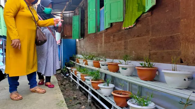IRT di Palembang Kembangkan Bisnis Rumahan Jahe Saat Pandemi Covid-19