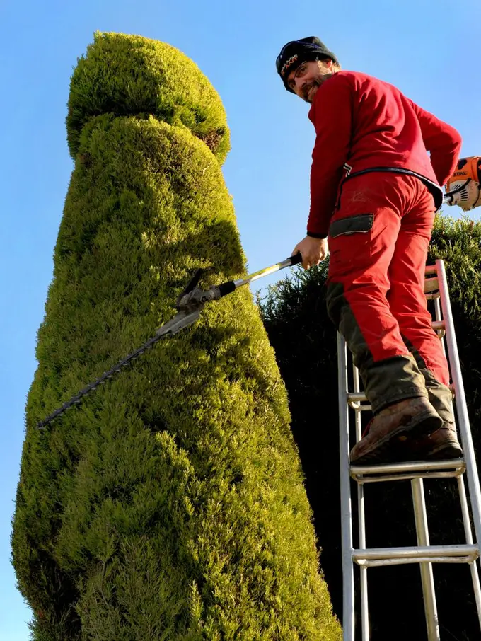 Hibur Tetangga, Pria Ini Bentuk Pohon Depan Rumahnya Bentuk Penis