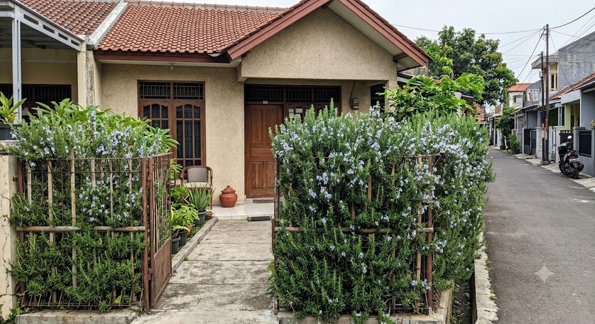 12 Tanaman yang Cocok untuk Pagar Hidup Sekaligus Pengusir Nyamuk