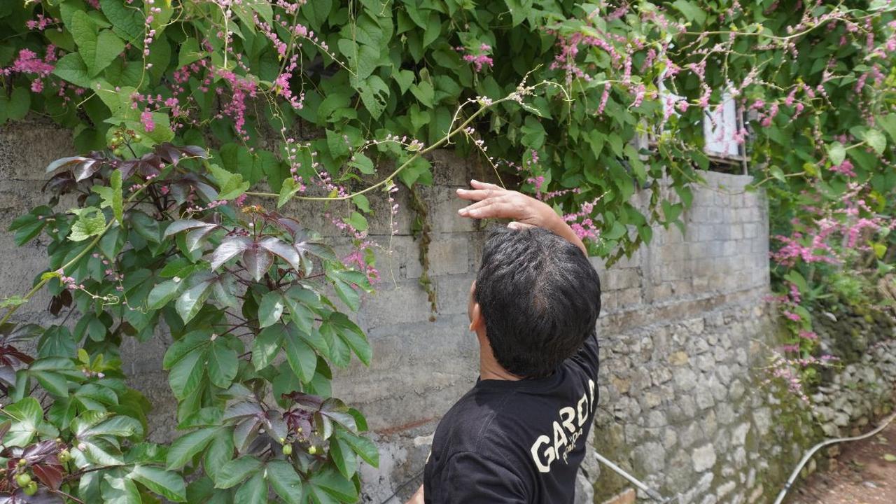 Madu Lanceng dan Upaya Mencegah Krisis Iklim