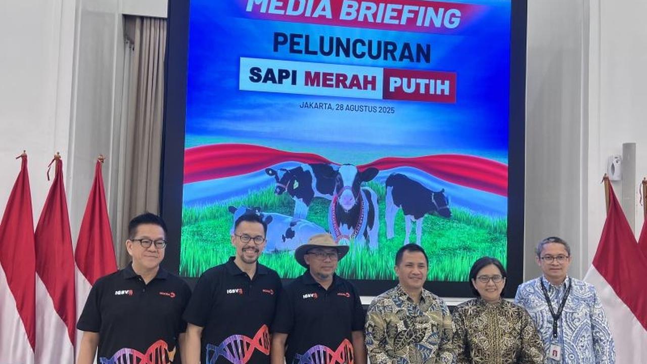 Trivia: Apa Itu Program Sapi Merah Putih? Bappenas dan Moosa Genetika Farmindo Siap Tingkatkan Genetik Sapi Lokal