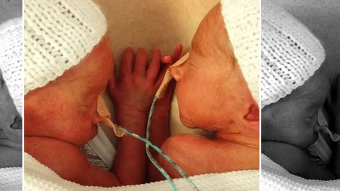 Foto: copyright dailymail.co.uk