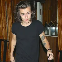 Harry Styles. (sumber: Mirror.co.uk)