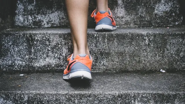 Jenis Olahraga Kardio dan