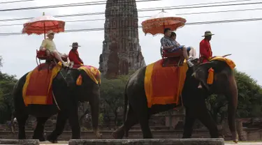 Sejumlah Turis naik gajah melintasi bangunan kuno Ayutthaya, Bangkok, Thailand, (11/8/2015). Thailand akan merayakan Hari Gajah Dunia pada tanggal 12 Agustus 2015. (REUTERS/Chaiwat Subprasom)