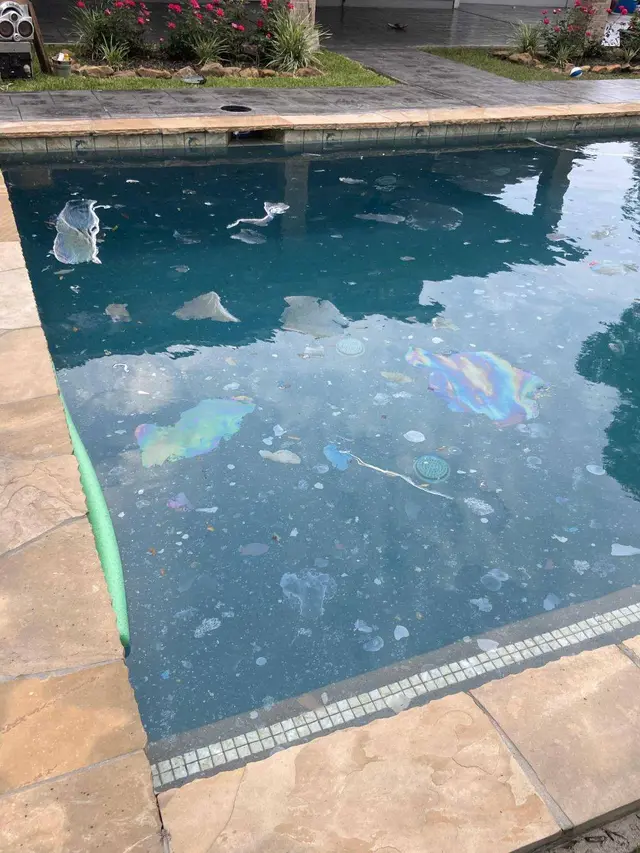 7 Potret Apes Orang Main di Kolam Renang Ini Bikin Geleng Kepala