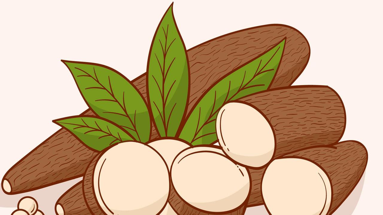 Singkong Asam Urat: Fakta, Mitos, dan Panduan Lengkap