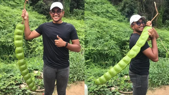 6 Potret Sayuran Ukuran Raksasa Ini Bikin Mata Melongo