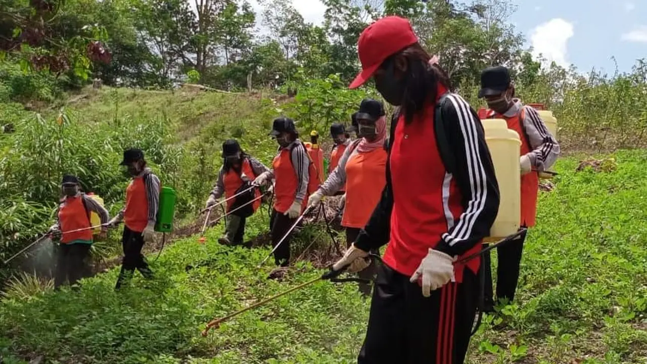 Kelompok Wanita Tani (KWT) Asoka melaksanakan kegiatan gerakan pengendalian massal pada Organisme Pengganggu Tumbuhan (OPT) tanaman kacang tanah. (Dok Kementan)