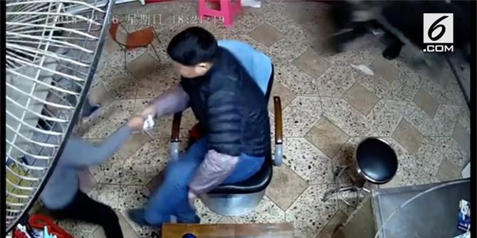 VIDEO: Kerbau Liar Masuk Salon Serang Satu Keluarga