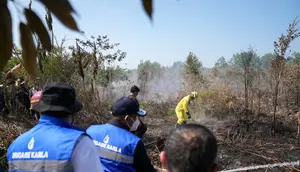 KLH Segel 50 Badan Usaha Terkait Kebakaran Hutan