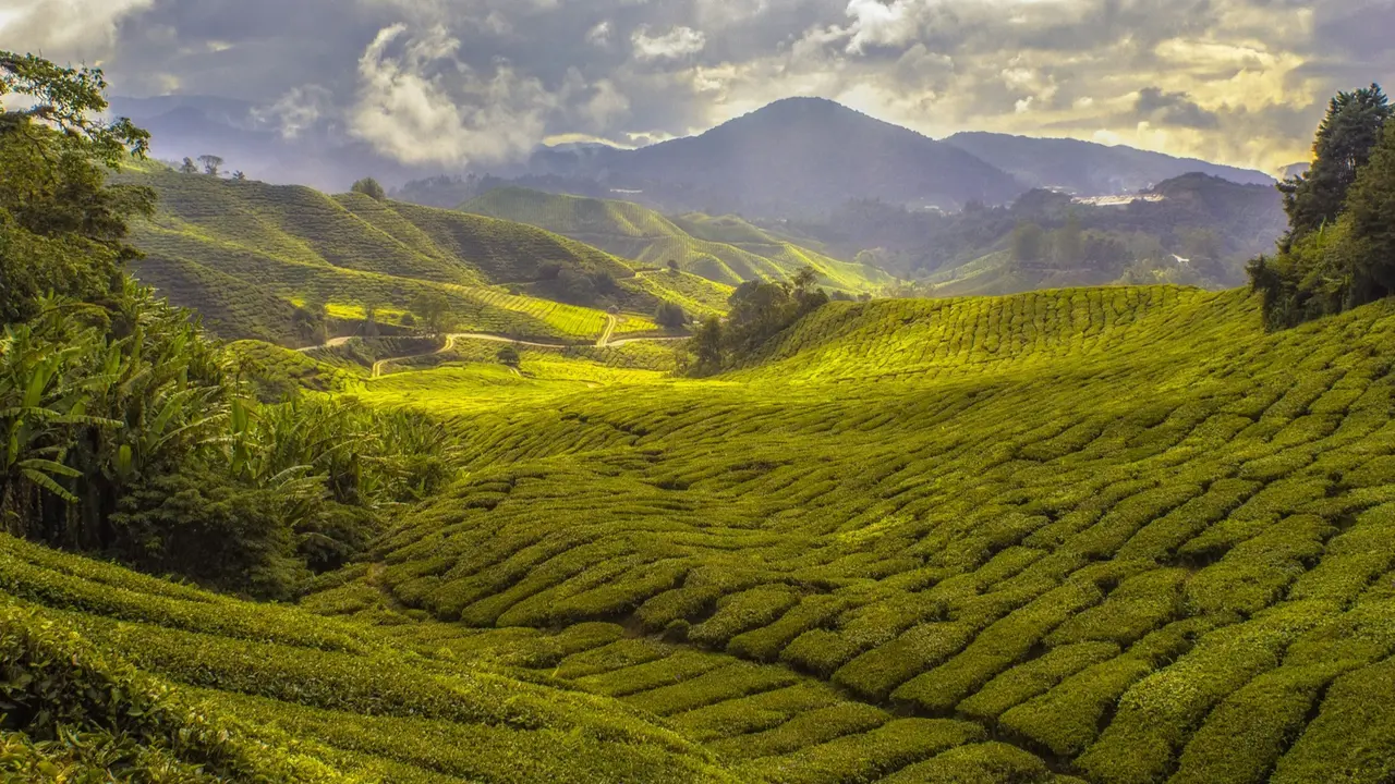 Malaysia