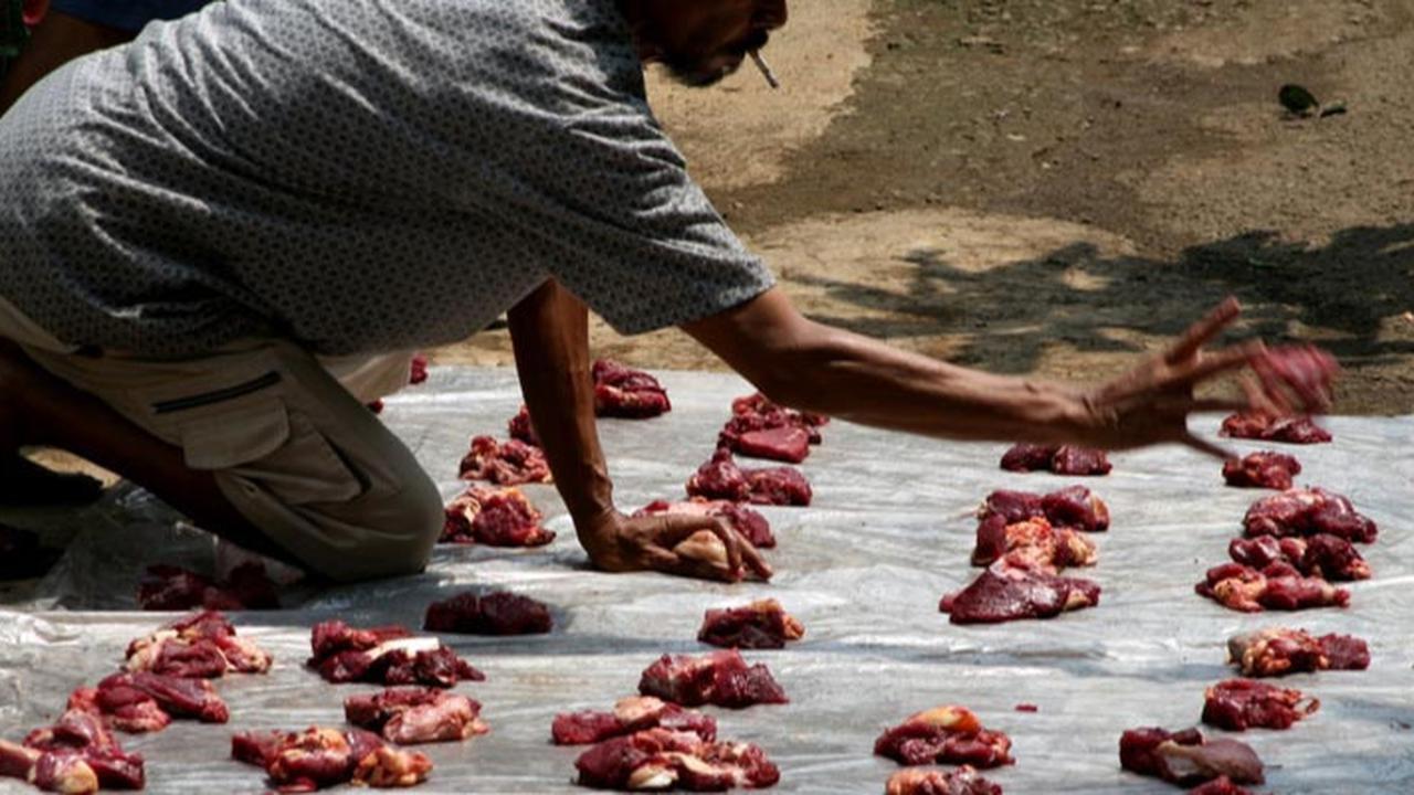 Tips Penyimpanan Daging Kurban agar Awet dan Tetap Bernutrisi
