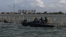 Target penyelesaian pembongkaran pagar laut dengan jarak sepanjang 30,16 km adalah selama 10 hari. (merdeka.com/Arie Basuki)
