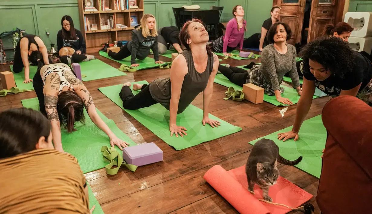 Orang-orang melakukan meditasi dalam kelas yoga bersama kucing  di kafe kucing Brooklyn, New York, Rabu (13/3). Kafe ini menawarkan tempat latihan yoga dengan ditemani kucing-kucing menggemaskan. (REUTERS/Jeenah Moon)