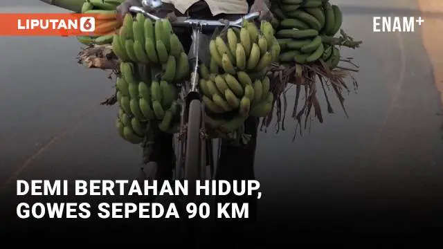 Pedagang kulakan di Mozambik beralih membawa pisang ke pasar memakai sepeda akibat naiknya biaya transpor. Para pedagang ini biasanya menyewa truk untuk membawa pisang ke pasar, tapi kini tidak mampu lagi karena pengemudi truk menaikkan biaya akibat ...