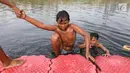 Anak-anak berenang di Kanal Banjir Barat (KBB) di Petamburan, Jakarta, Senin (12/8/2019). Anak-anak memanfaatkan waktu pulang sekolah mereka untuk berenang dan mencari ikan di KBB saat musim kemarau. (Liputan6.com/Fery Pradolo)