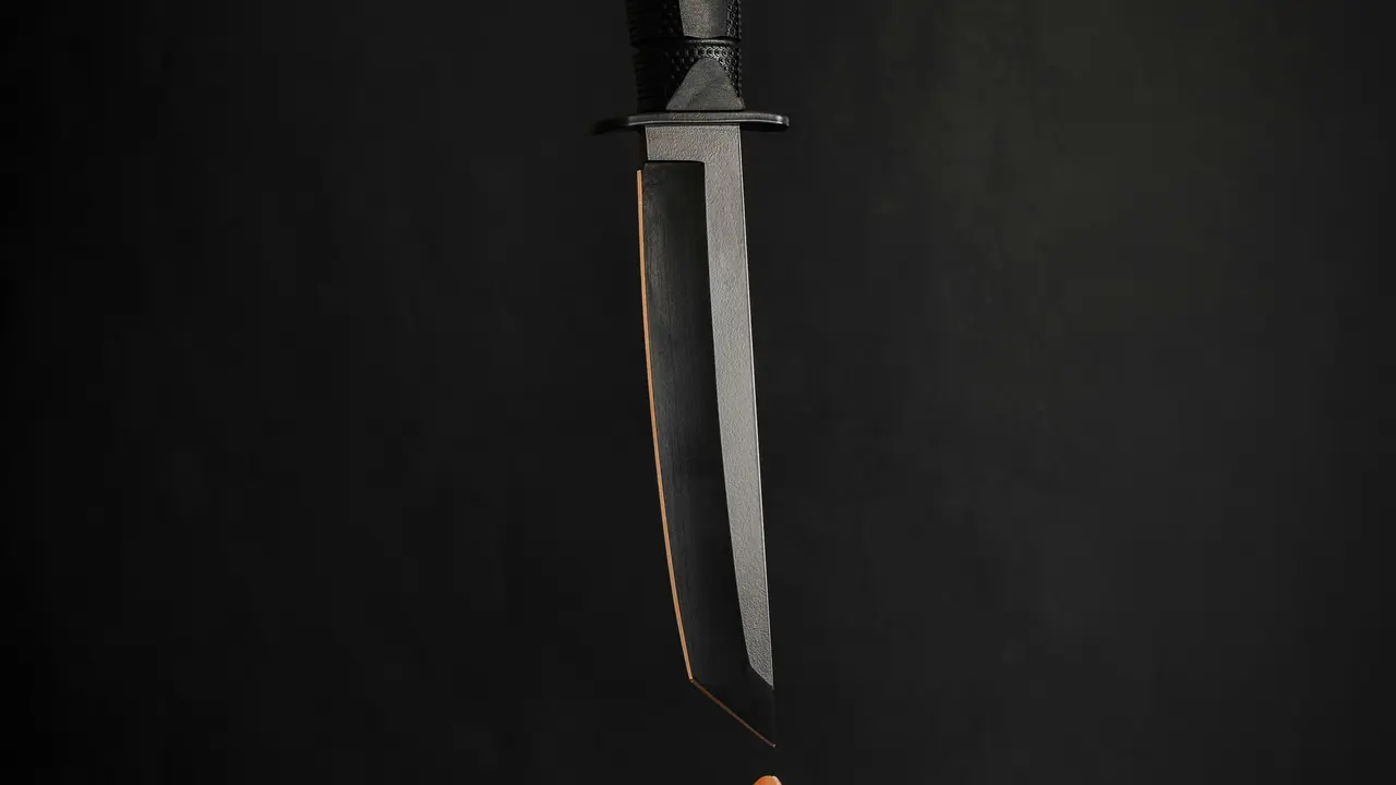 Pisau