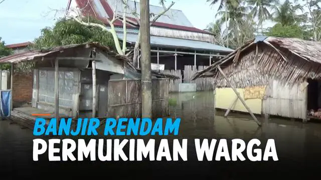 Banjir hingga selutut orang dewasa merendam kawasan permukiman di Polewali Mandar, Sulawesi Barat. Banjir terjadi akibat hujan deras yang mengguyur kawasan tersebut.