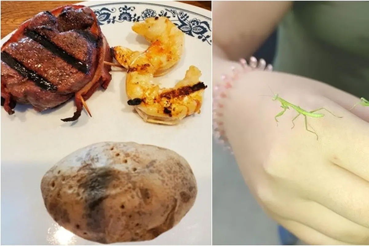 6 Foto Asli Ini Dikira Hasil Editan, Bikin Enggak Nyangka