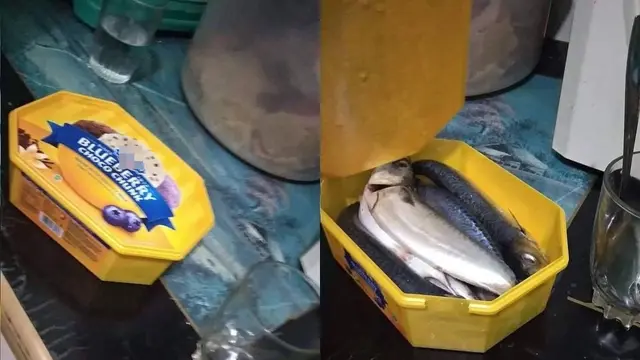 6 Potret Kocak Isian Wadah Makanan Ringan saat Lebaran Tak Sesuai Ekspektasi