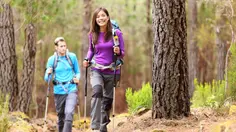 Trekking Pole Lipat untuk Hiking, Teman Praktis untuk Pemula Menjelajahi Jalur Pendakian