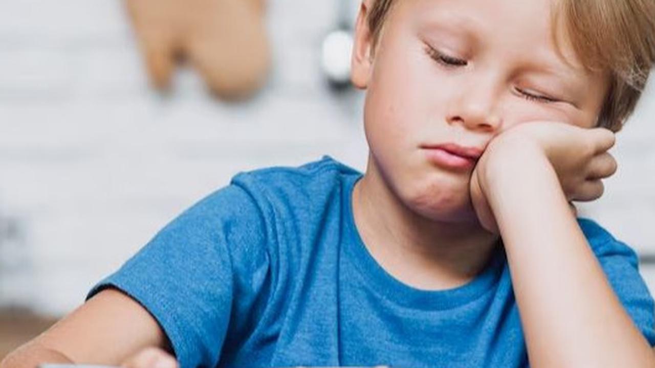 Anak Susah Makan? Coba Terapkan 11 Cara Ini, Dijamin Anak Mau Makan
