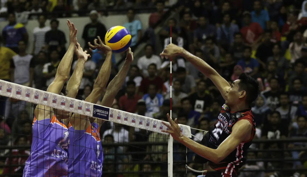 Pemain Surabaya Bhayangkara Samator, Rivan Nurmulki, melakukan smes saat melawan Jakarta BNI 46 dalam final Proliga 2019 di GOR Among Rogo, Yogyakarta, Minggu (24/12). Bhayangkara Samator berhasil meraih juara Proliga 2019. (Bola.com/Yoppy Renato)