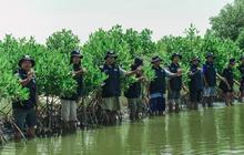 Peringati Hari Bumi, BRI Perkuat Komitmen Jaga Ekosistem Pesisir Lewat Penanaman Mangrove di Muara Gembong Bekasi