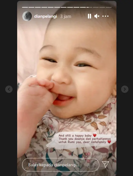 (Instagram/dianpelangi)