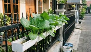 Model Kebun Sayur Mini Hidroponik Sederhana di Teras Rumah (Foto: AI)