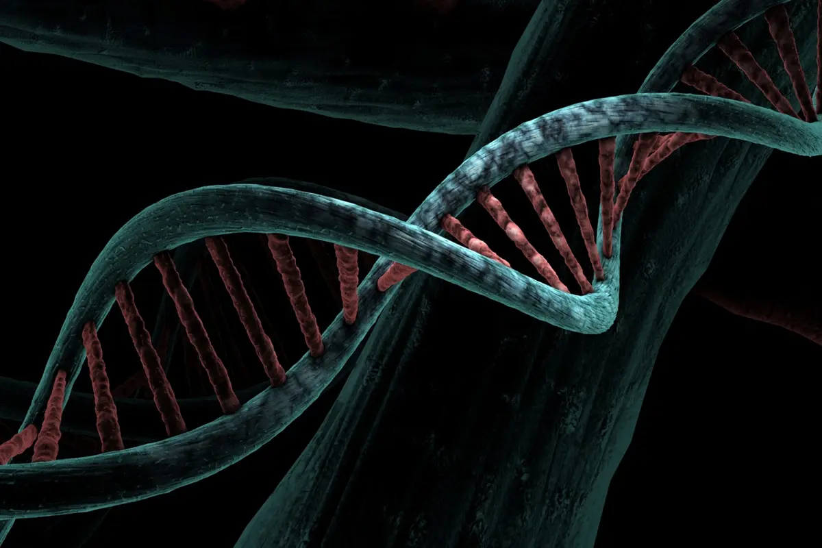 Ilustrasi DNA