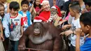 Orangutan bernama Pacquiao mengenakan topi Santa Claus dikelilingi anak-anak saat merayakan pesta natal di Malabon, Filipina (21/12). Pacquiao yang terlihat gemuk ini duduk di gerobak dan dikelilingi anak-anak. (AP Photo / Bullit Marquez)