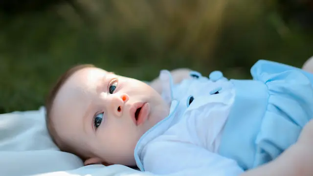 3. Mulai dari Bagian Atas Alis