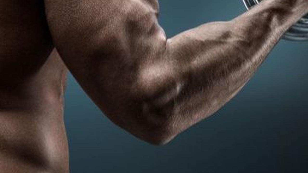 Berapa Banyak Protein yang Dibutuhkan untuk Membentuk Otot?