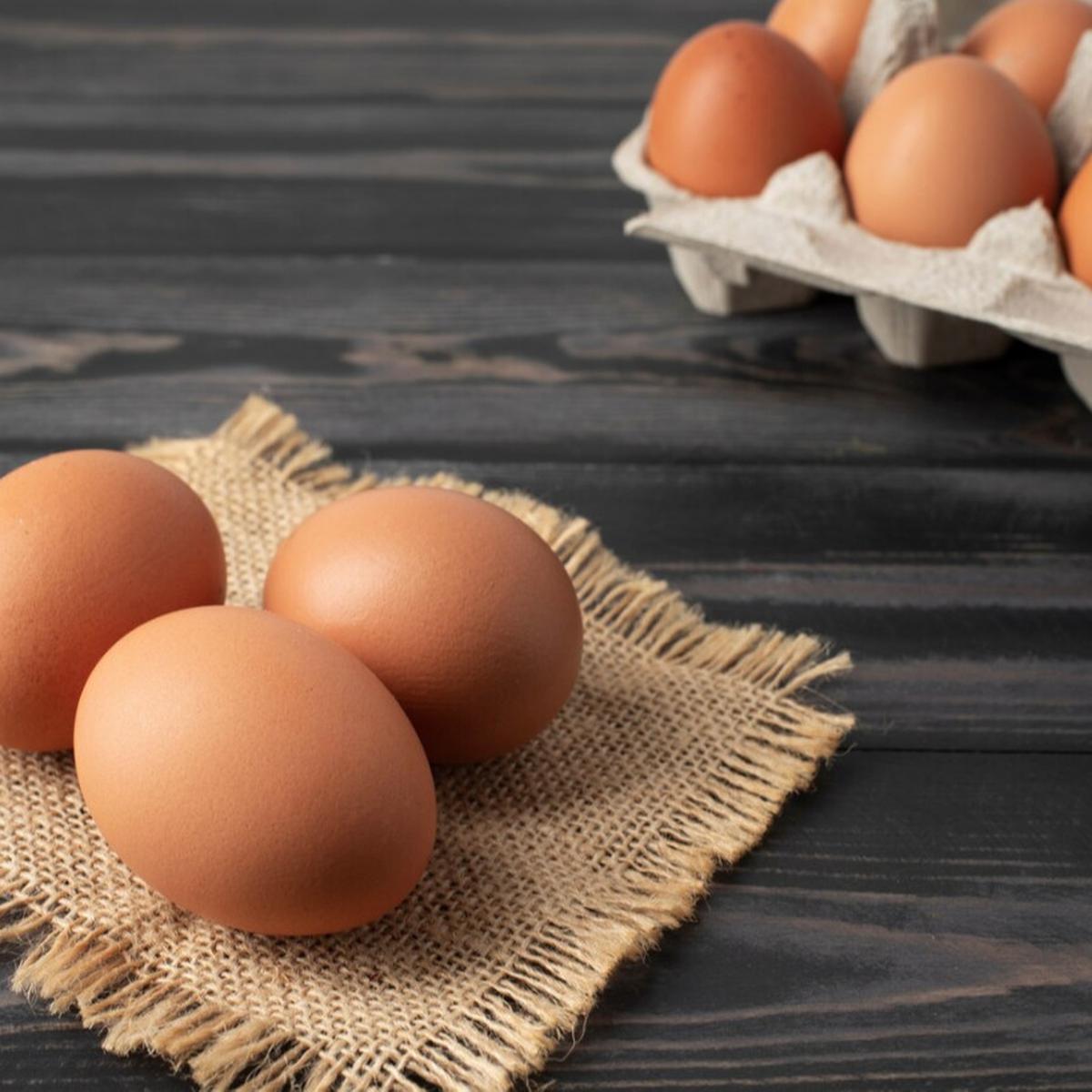 telur