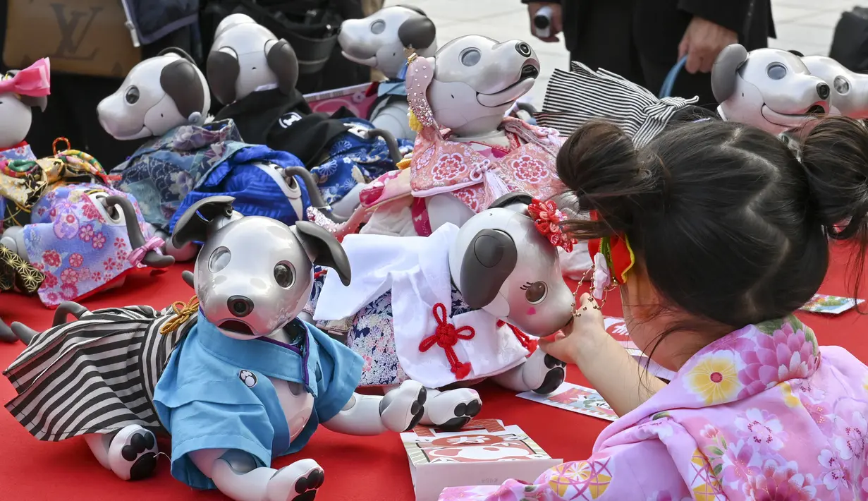 Robot peliharaan Sony Aibo dengan kostum ditampilkan dalam acara perayaan ulang tahun ketiga Aibo dan berharap kesehatan yang baik pada masa depan di Kuil Kanda, Tokyo, Jepang, Jumat (12/11/2021). (Kazuhiro NOGI/AFP)