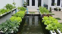 9 Desain Pertanian Terpadu Sederhana untuk Halaman Belakang Rumah Tipe 36