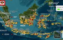 Kebakaran Hutan Kalteng-Sumsel Meluas, BNPB Ungkap Hotspot