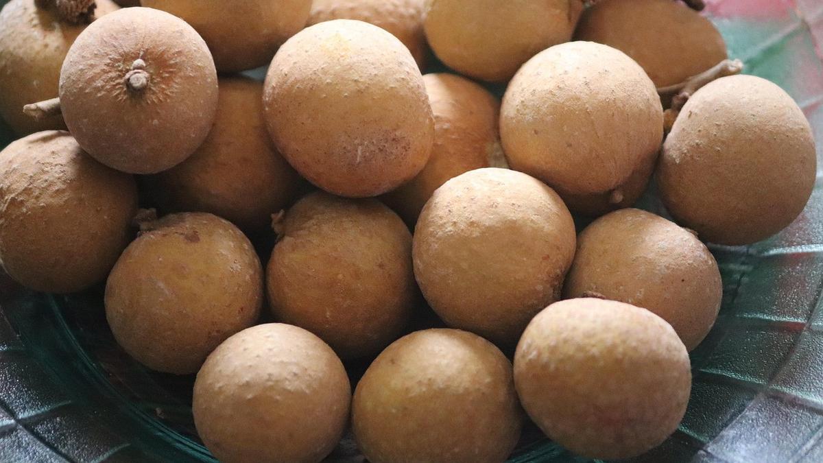 Tanda Kelengkeng Sudah Manis Sempurna, Bukan Cuma Dilihat dari Ukuran Buah