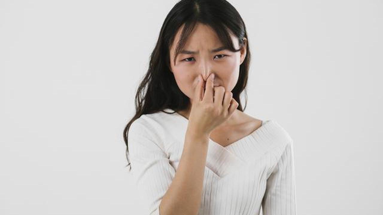7 Perubahan Bau di Rumah yang Bisa Menjadi Sinyal Kehadiran Hewan Liar, Jangan Diabaikan