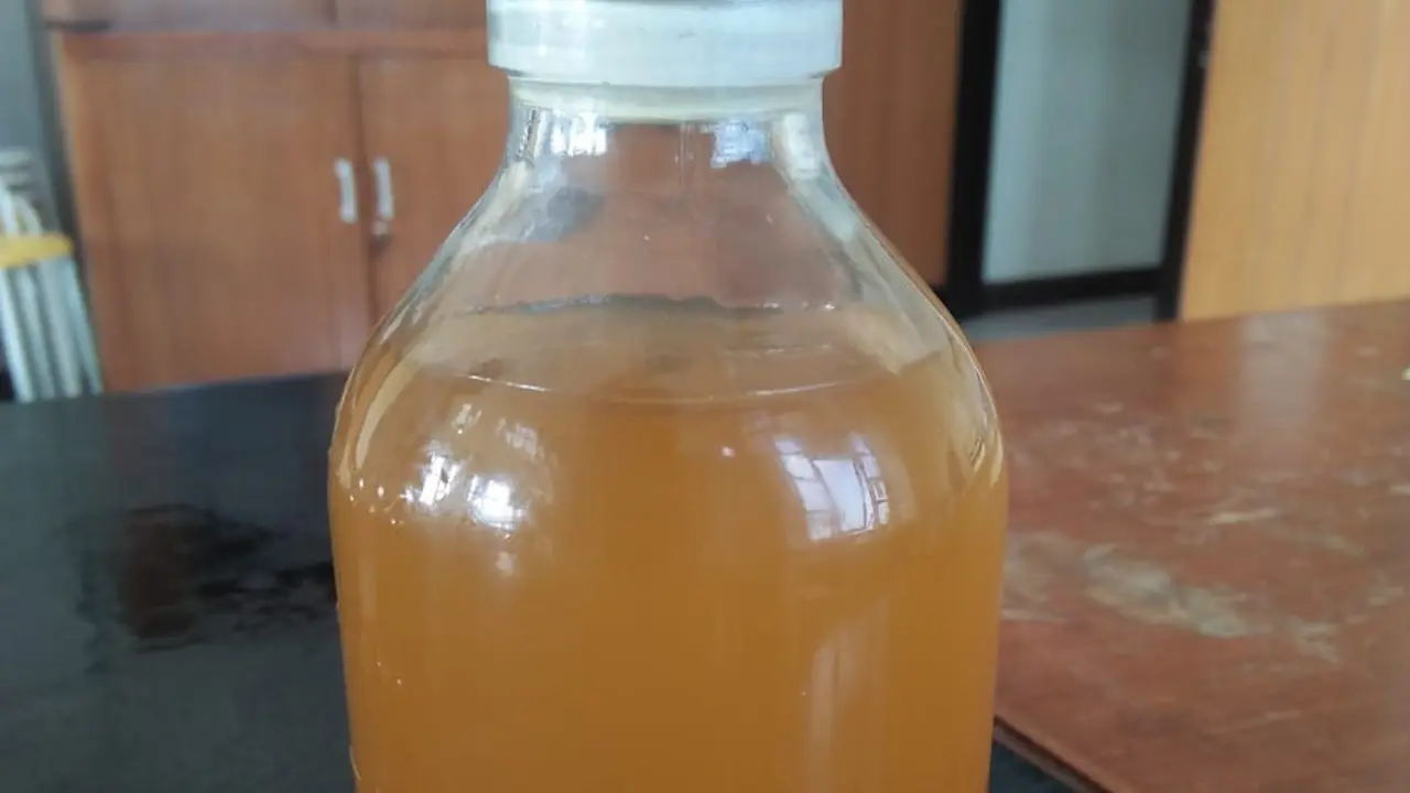 Hasil Fermentasi Eco Enzim