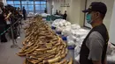 Bea Cukai Hong Kong mengelar konferensi pers terkait penyitaan kargo berisi gading seberat 7,2 ton di Hong Kong, Kamis (6/7). Ini merupakan penyitaan terbesar di Hong Kong dalam tiga dekade terakhir. (AP Photo/Kin Cheung)