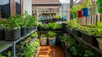 9 Cara Memanfaatkan Lahan Sempit untuk Kebun Mini Tanpa Risiko Keamanan bagi Keluarga